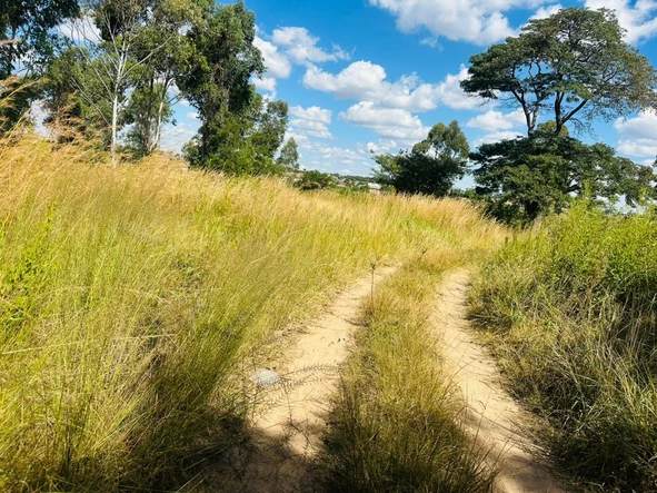 Commercial & Industrial Land
