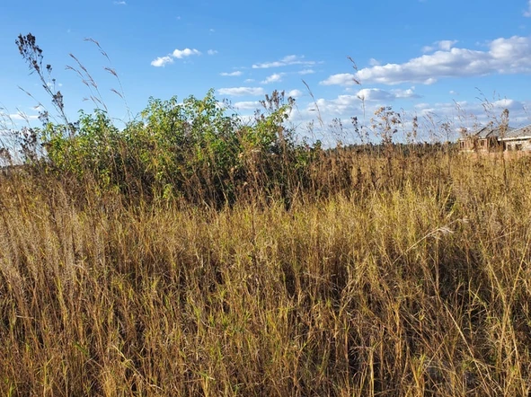 Commercial & Industrial Land